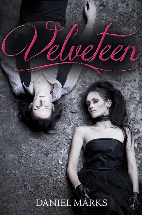 Cover of the book Velveteen by Daniel Marks, Random House Children's Books