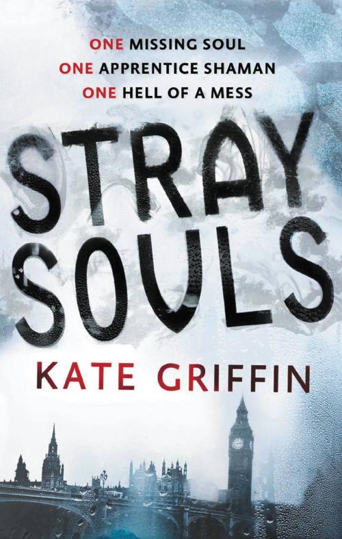 Cover of the book Stray Souls by Kate Griffin, Orbit