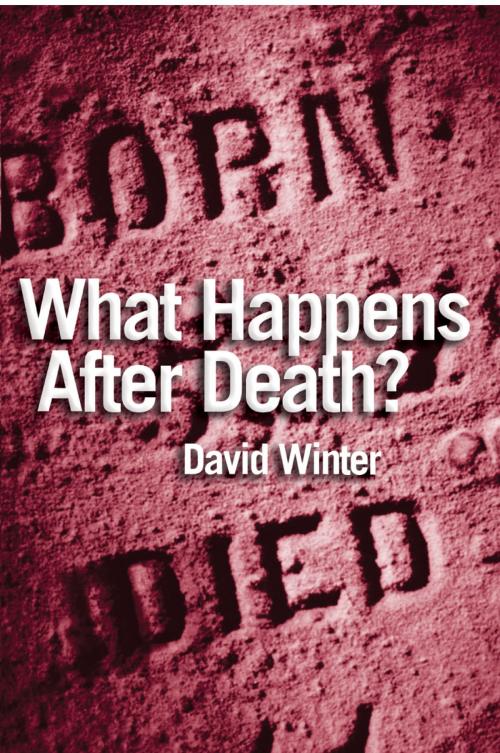 Cover of the book What Happens After Death? by Revd Canon David Winter, Lion Hudson LTD