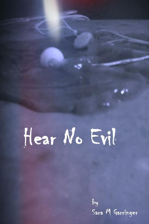 Cover of the book Hear No Evil by Sara M. Garringer, Sara M. Garringer
