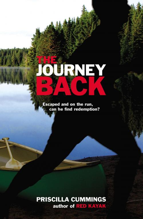 Cover of the book The Journey Back by Priscilla Cummings, Penguin Young Readers Group