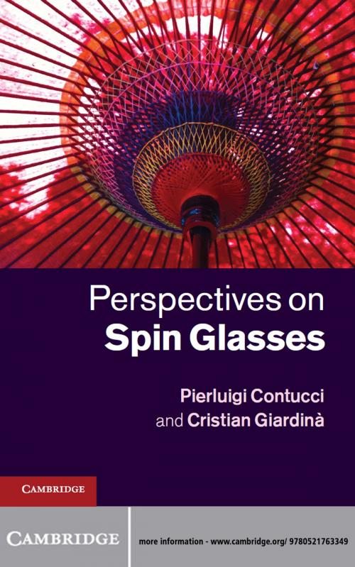 Cover of the book Perspectives on Spin Glasses by Pierluigi Contucci, Cristian Giardinà, Cambridge University Press