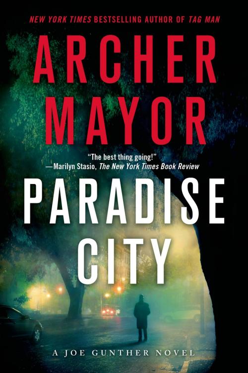 Cover of the book Paradise City by Archer Mayor, St. Martin's Press