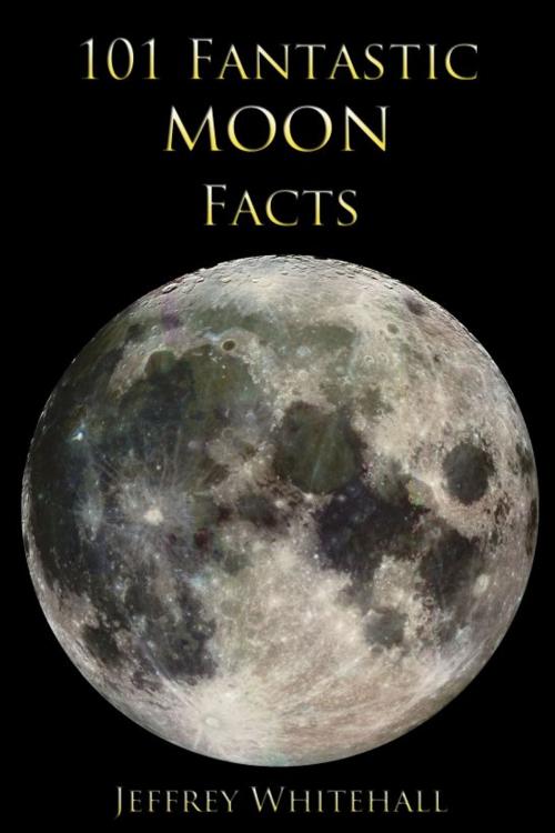 Cover of the book 101 Fantastic Moon Facts by Sarah Jessen, Sarah Jessen
