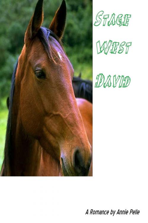 Cover of the book Stage West: David by Annie Pelle, Annie Pelle
