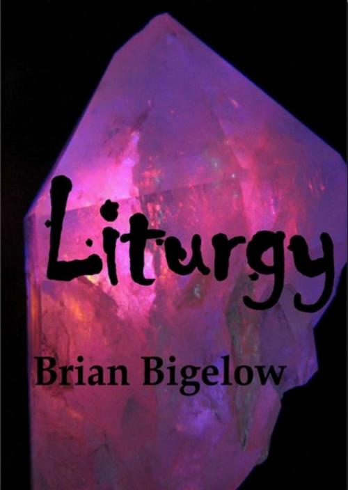 Cover of the book Liturgy by Brian Bigelow, Brian Bigelow