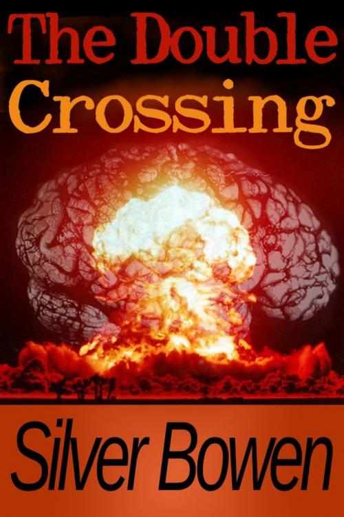 Cover of the book The Double Crossing by Silver Bowen, Step5 Transmedia