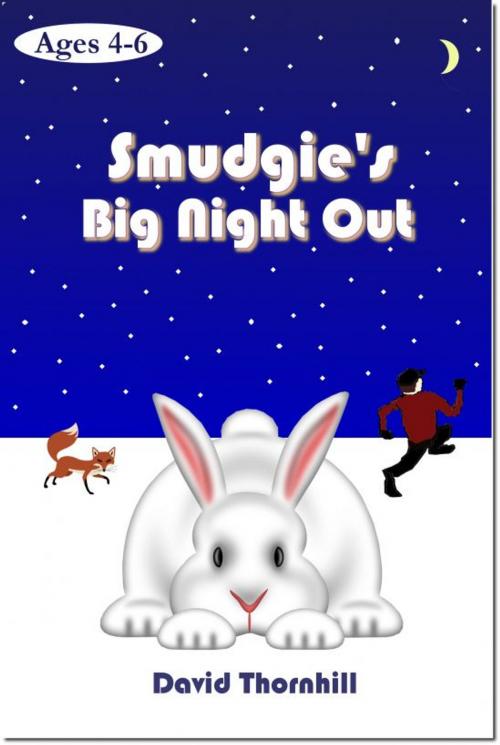 Cover of the book Smudgie's Big Night Out by David Thornhill, David Thornhill