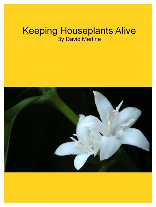 Cover of the book Keeping Houseplants Alive by David Merline, David Merline