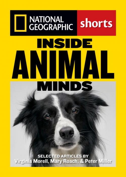 Cover of the book Inside Animal Minds by Virgina Morell, Mary Roach, Peter Miller, National Geographic Society