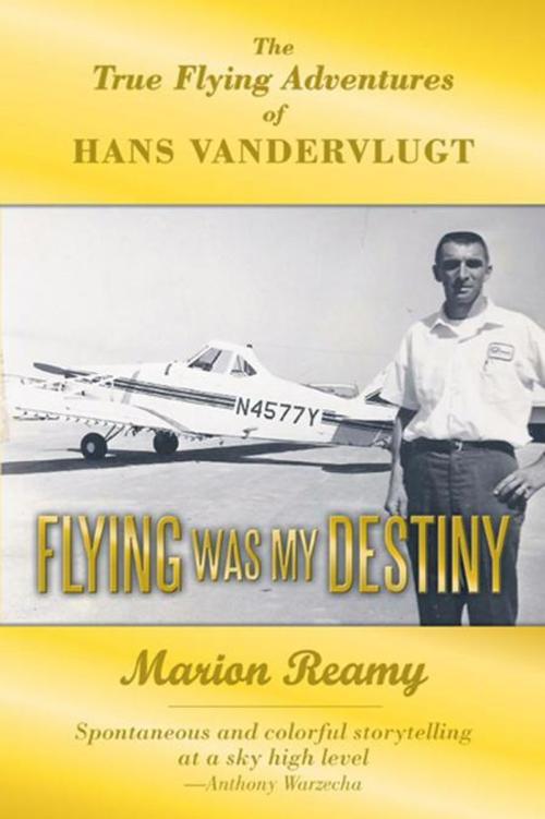 Cover of the book Flying Was My Destiny by Marion Reamy, WestBow Press