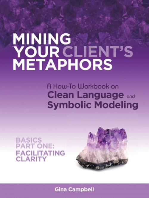 Cover of the book Mining Your Client's Metaphors by Gina Campbell, Balboa Press