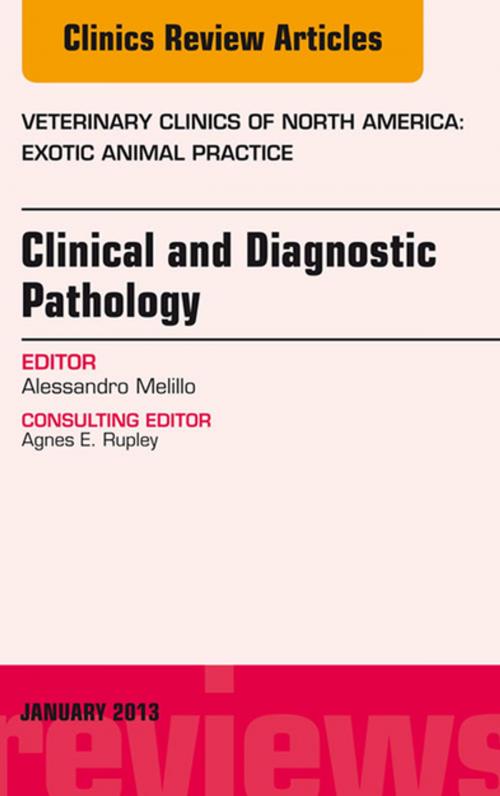 Cover of the book Clinical and Diagnostic Pathology, An Issue of Veterinary Clinics: Exotic Animal Practice - E-Book by Alessandro Melillo, DVM, Elsevier Health Sciences