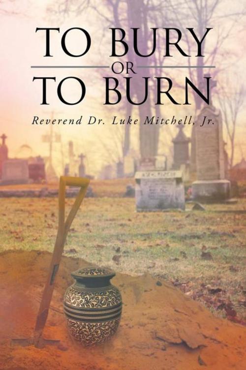 Cover of the book To Bury or to Burn by Reverend Dr. Luke Mitchell Jr, Trafford Publishing