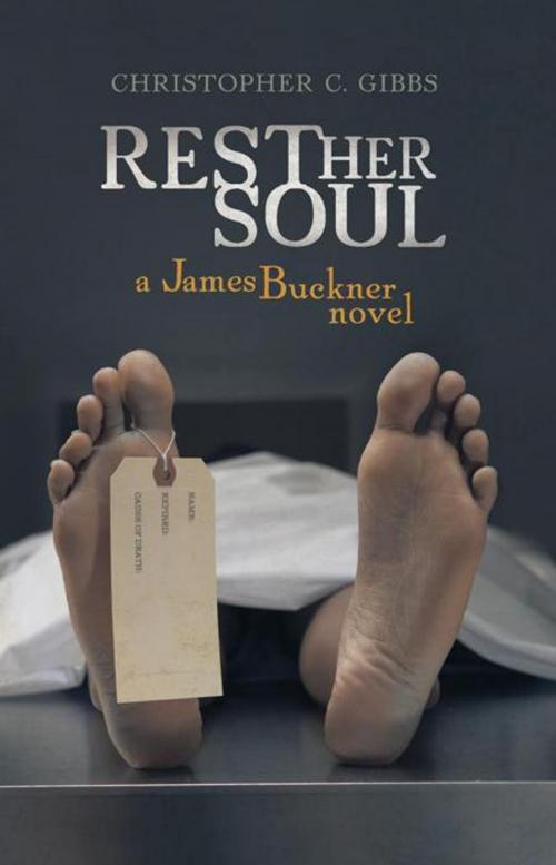 Cover of the book Rest Her Soul by Christopher C. Gibbs, iUniverse