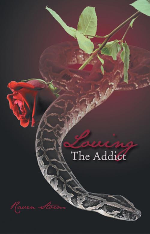 Cover of the book Loving the Addict by Raven Storm, iUniverse