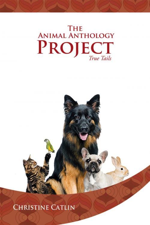 Cover of the book The Animal Anthology Project by Christine Catlin, Xlibris US