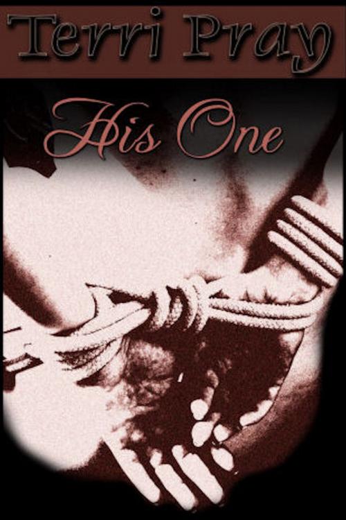 Cover of the book His One by Terri Pray, Mojocastle Press LLC