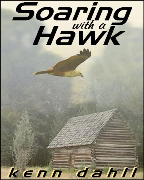 Cover of the book Soaring With A Hawk by Kenn Dahll, Excessica