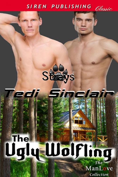 Cover of the book The Ugly Wolfling by Tedi Sinclair, Siren-BookStrand