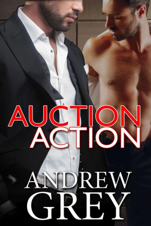 Cover of the book Auction Action by Andrew Grey, Riverdale Avenue Books LLC