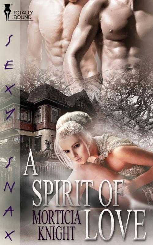 Cover of the book A Spirit of Love by Morticia Knight, Totally Entwined Group Ltd