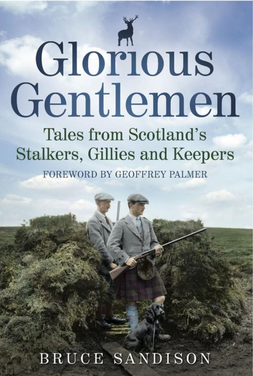 Cover of the book Glorious Gentlemen by Bruce Sandison, Black & White Publishing