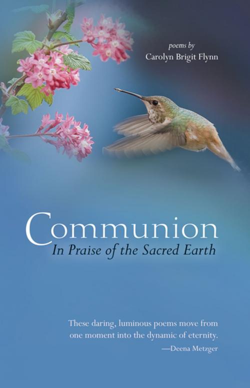 Cover of the book Communion: In Praise of the Sacred Earth by Carolyn Brigit Flynn, White Cloud Press