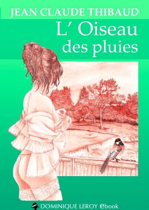 Cover of the book L'Oiseau des pluies by Jean Claude Thibaud, Éditions Dominique Leroy