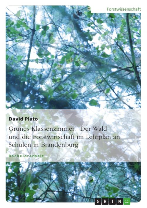 Cover of the book Grünes Klassenzimmer. Der Wald und die Forstwirtschaft im Lehrplan an Schulen in Brandenburg by David Plato, GRIN Verlag