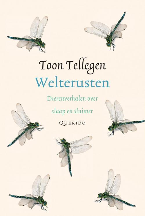 Cover of the book Welterusten by Toon Tellegen, Singel Uitgeverijen