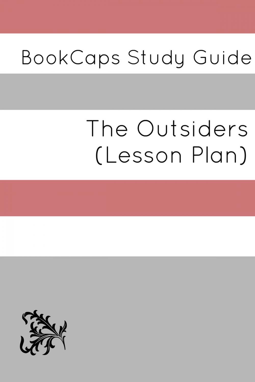 Big bigCover of The Outsiders: Teacher Lesson Plans and Study Guide