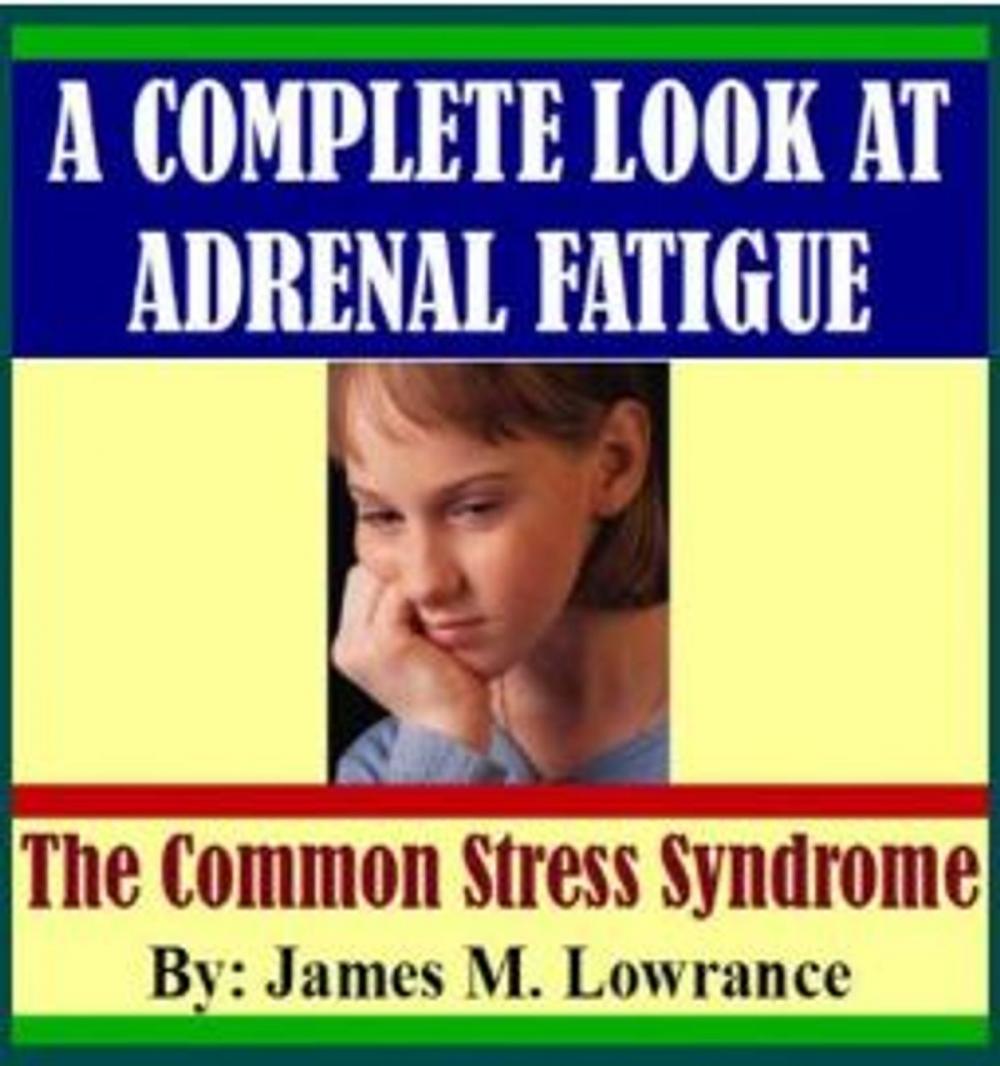 Big bigCover of A Complete Look at Adrenal Fatigue