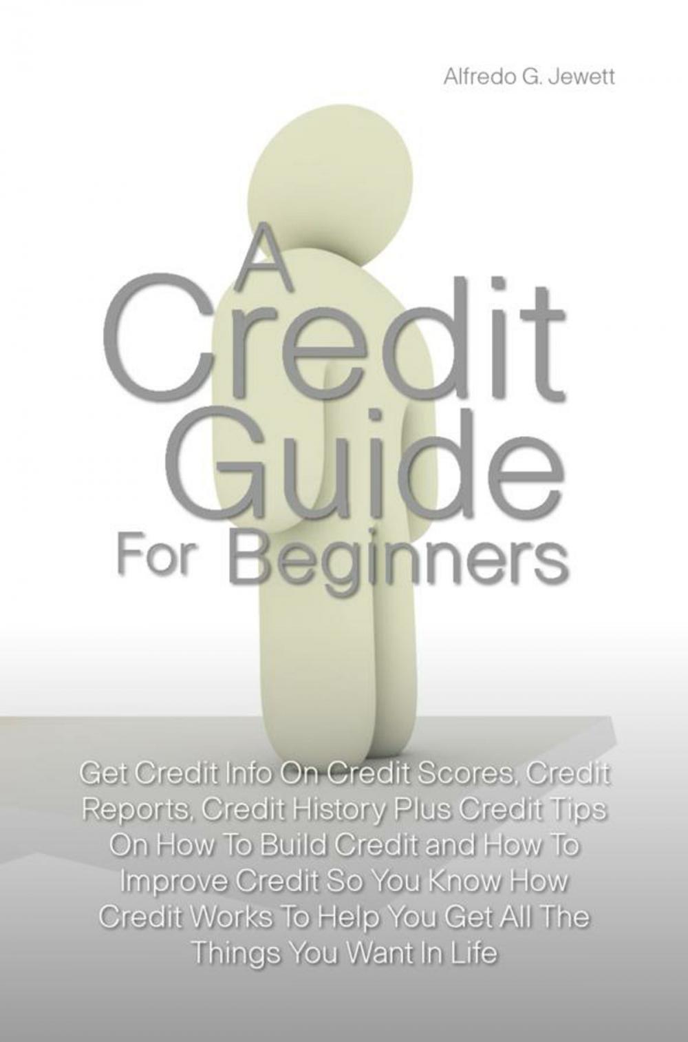 Big bigCover of A Credit Guide For Beginners