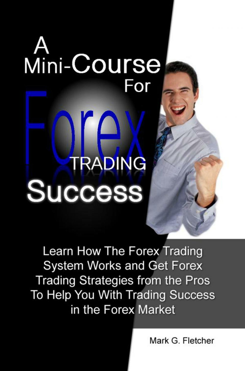 Big bigCover of A Mini-Course For Forex Trading Success