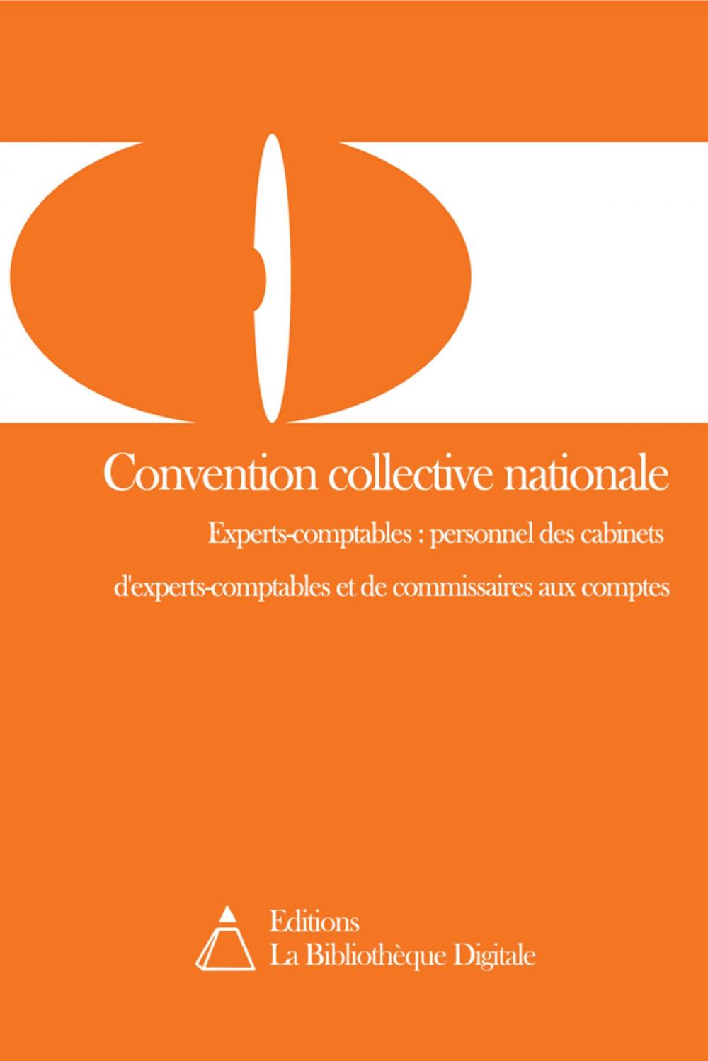 Big bigCover of Convention collective nationale des cabinets d'experts-comptables et de commissaires aux comptes (3020)