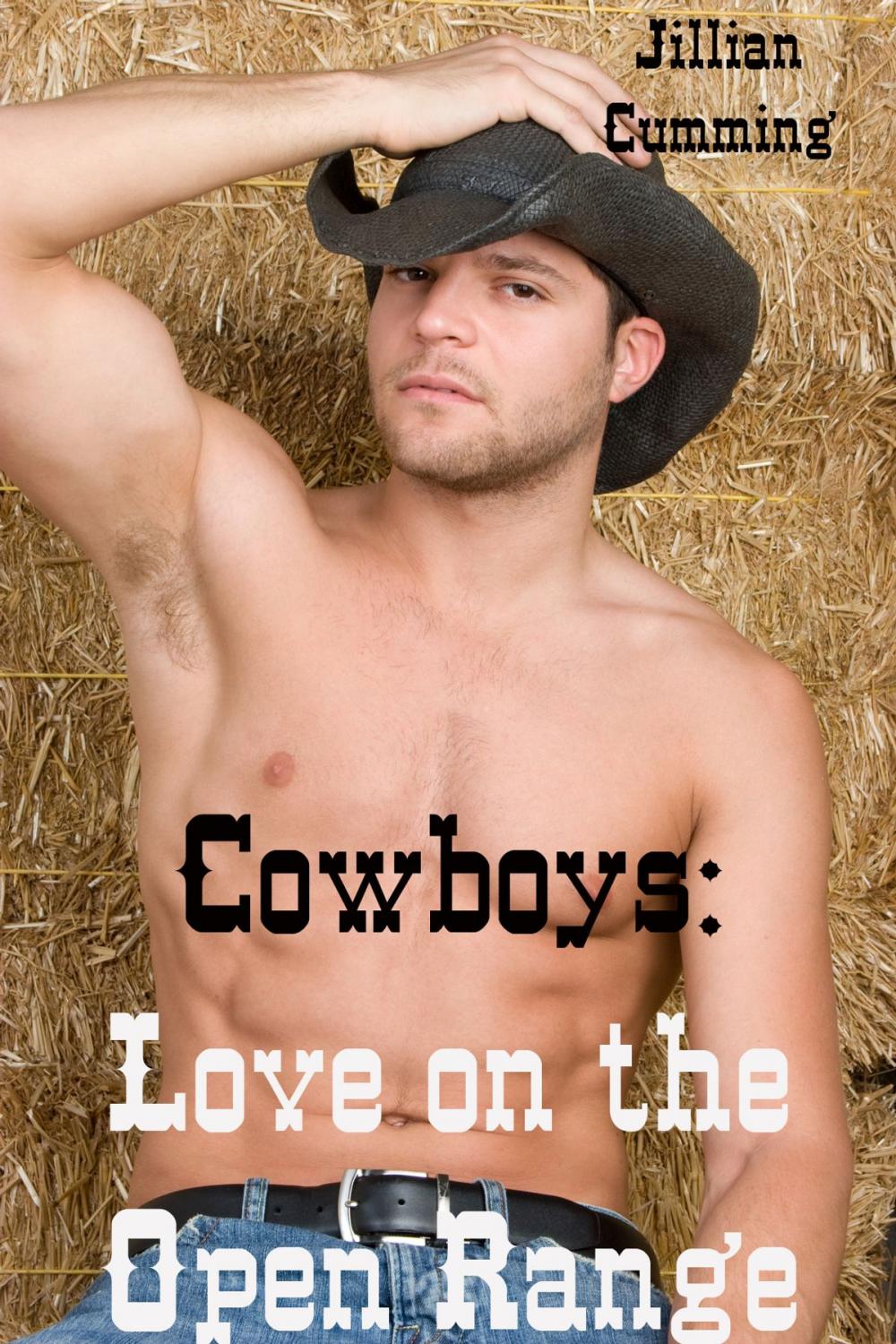 Big bigCover of Cowboys: Love on the Open Range