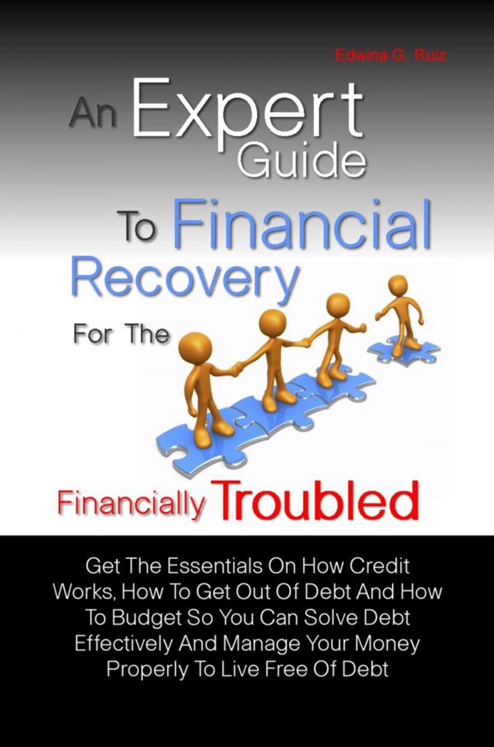 Big bigCover of An Expert Guide To Financial Recovery For The Financially Troubled