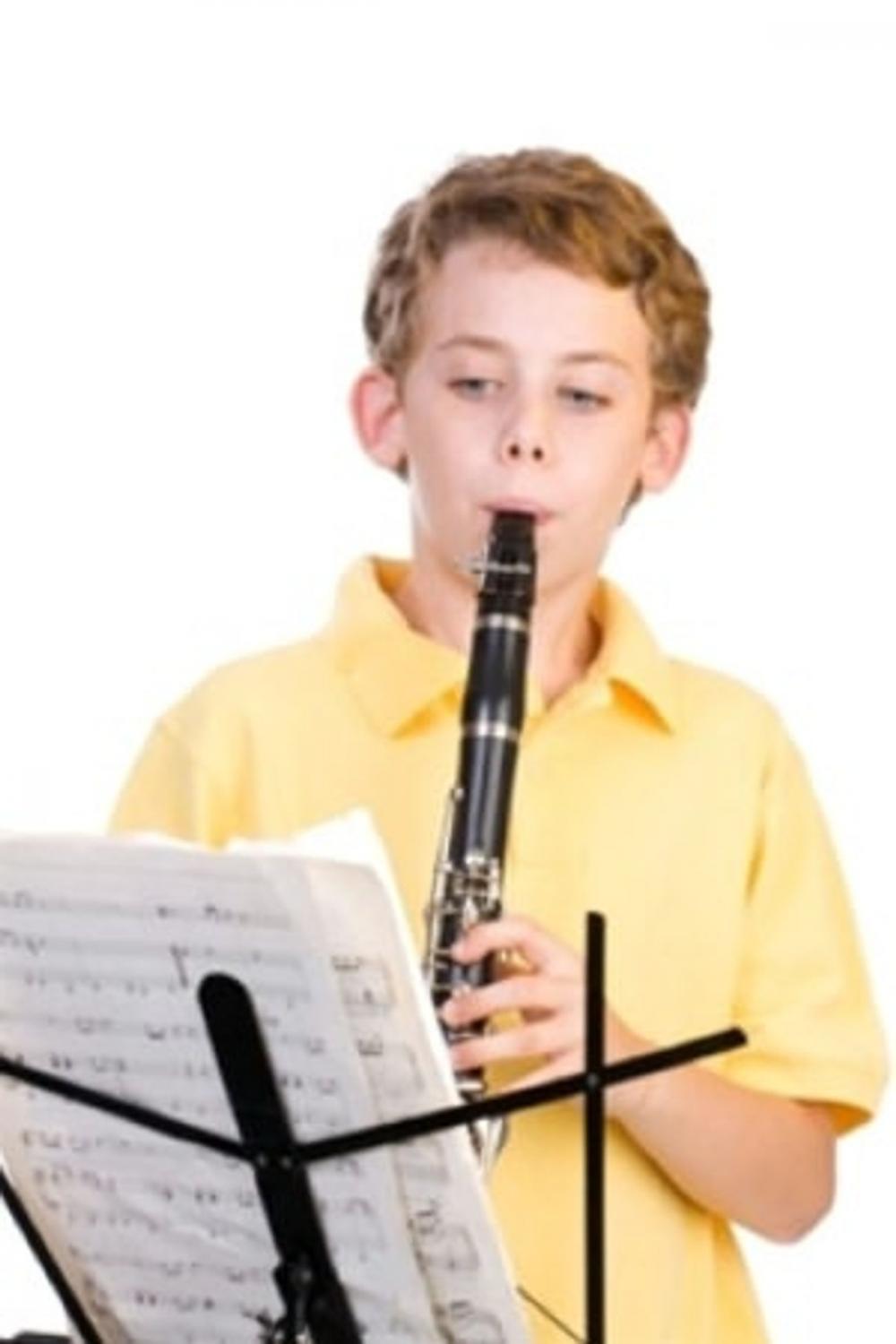 Big bigCover of Playing the Clarinet for Beginners