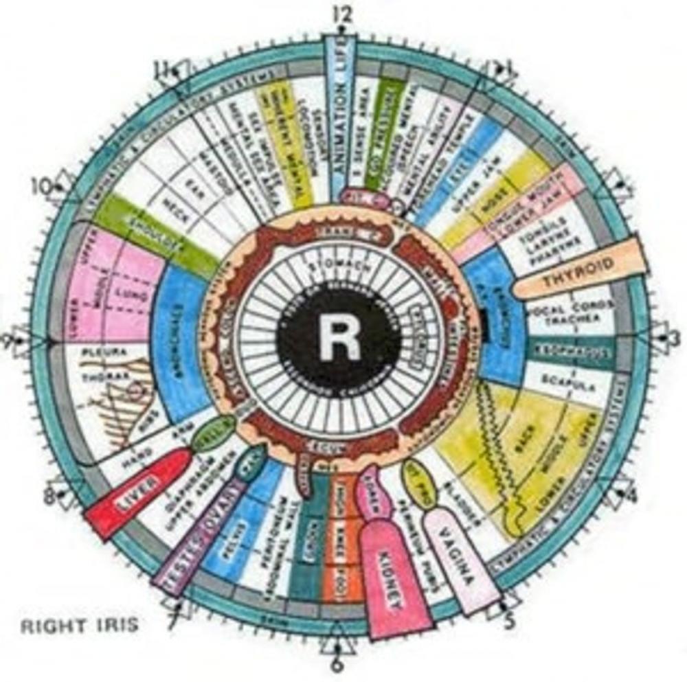 Big bigCover of An Informative Guide About Iridology