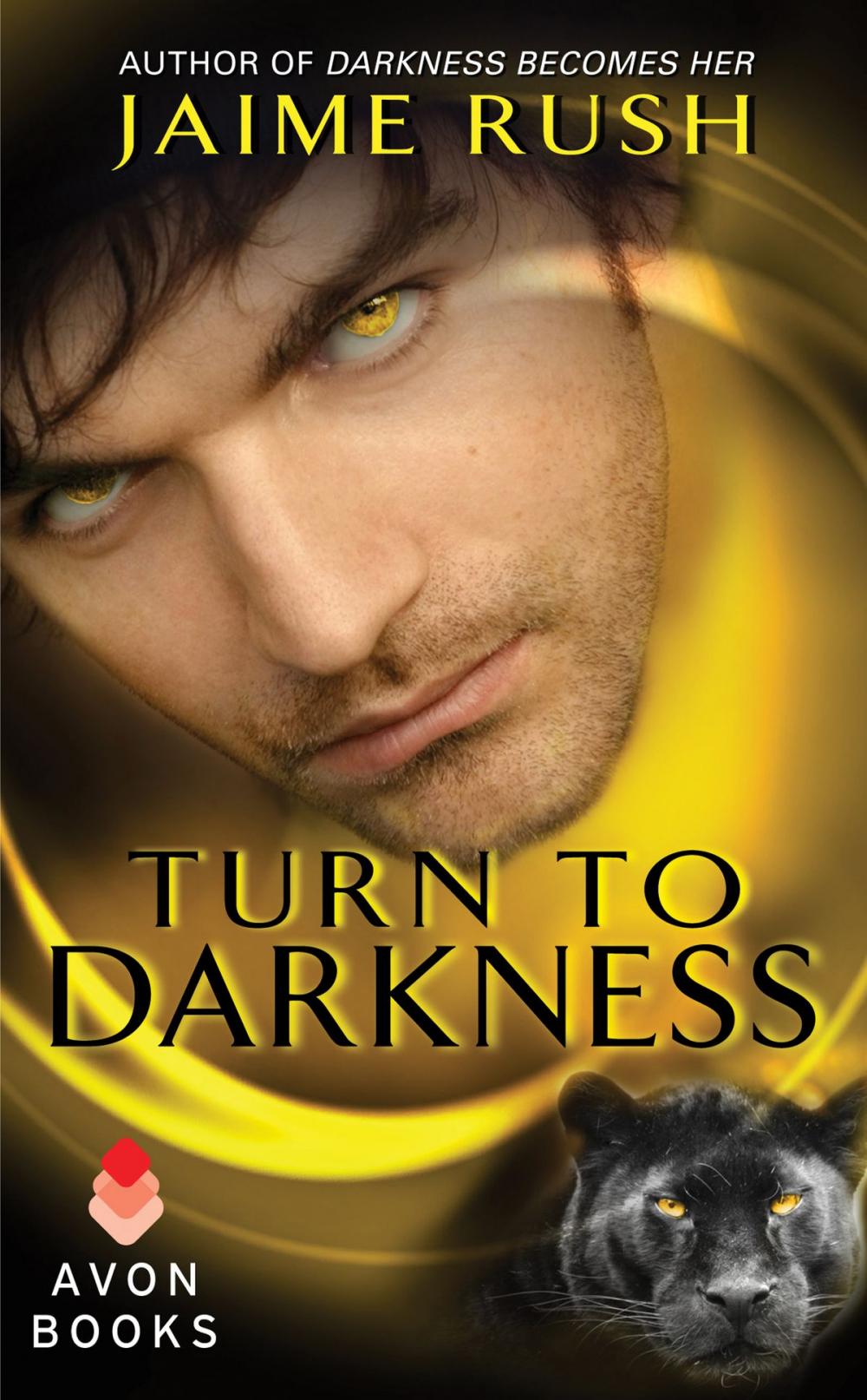 Big bigCover of Turn to Darkness