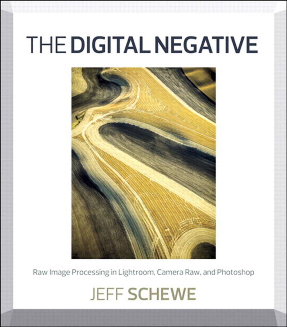 Big bigCover of The Digital Negative: Raw Image Processing in Lightroom, Camera Raw, and Photoshop