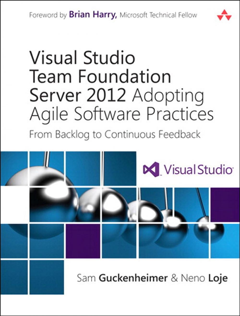 Big bigCover of Visual Studio Team Foundation Server 2012