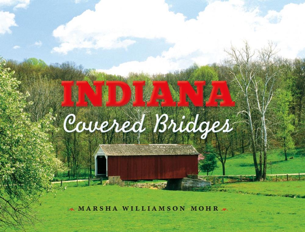 Big bigCover of Indiana Covered Bridges