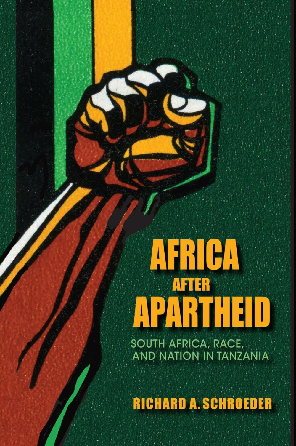 Big bigCover of Africa after Apartheid