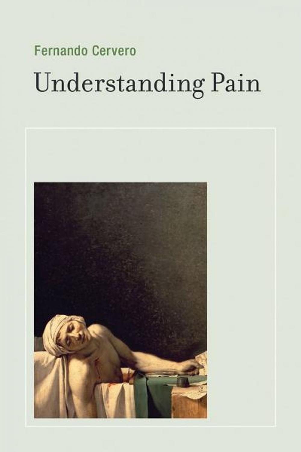 Big bigCover of Understanding Pain: Exploring the Perception of Pain