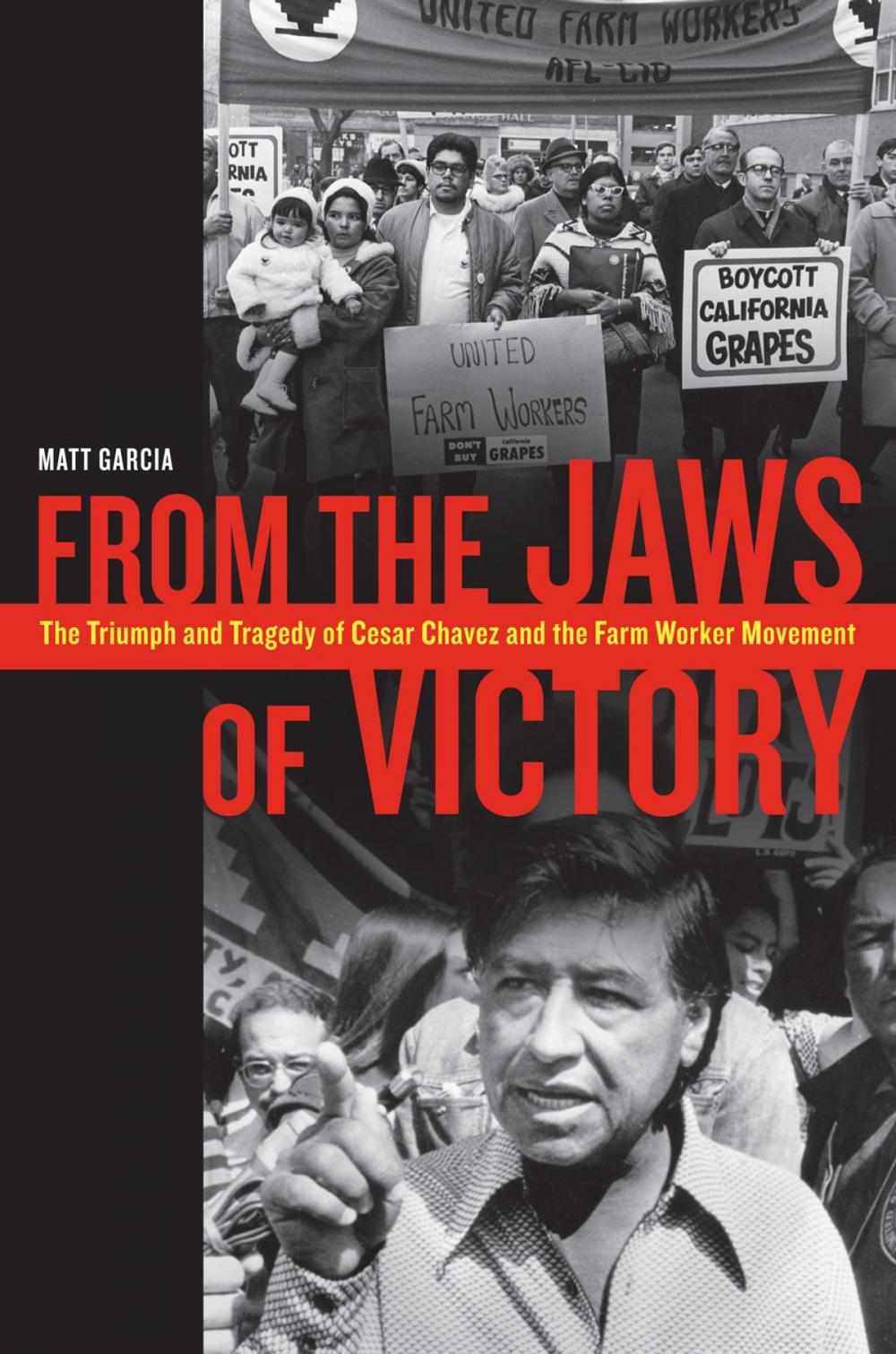 Big bigCover of From the Jaws of Victory