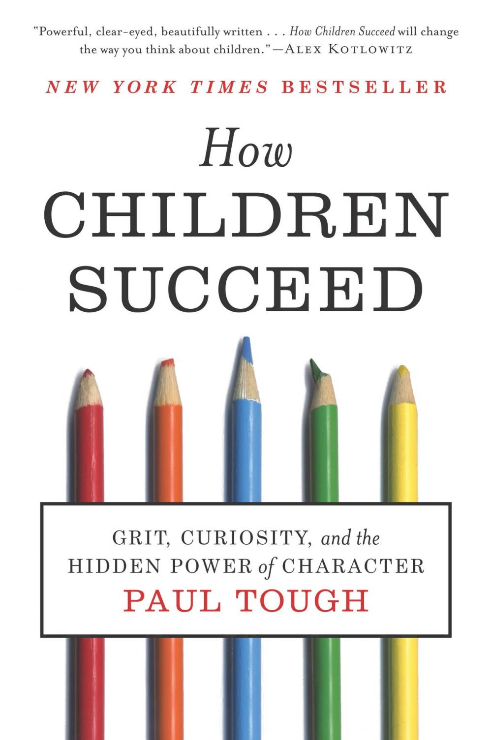 Big bigCover of How Children Succeed