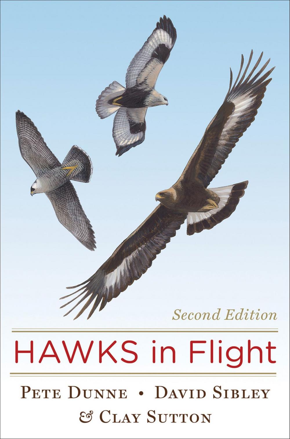 Big bigCover of Hawks in Flight