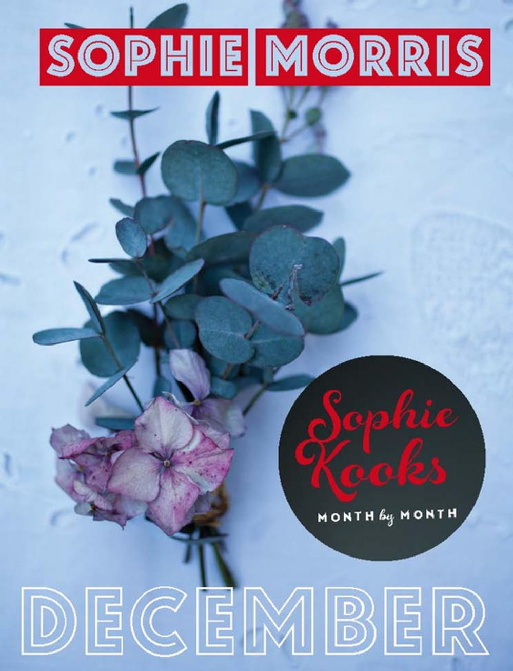 Big bigCover of Sophie Kooks Month by Month: December